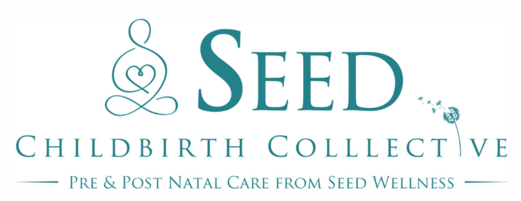 seed childbirth collective banner