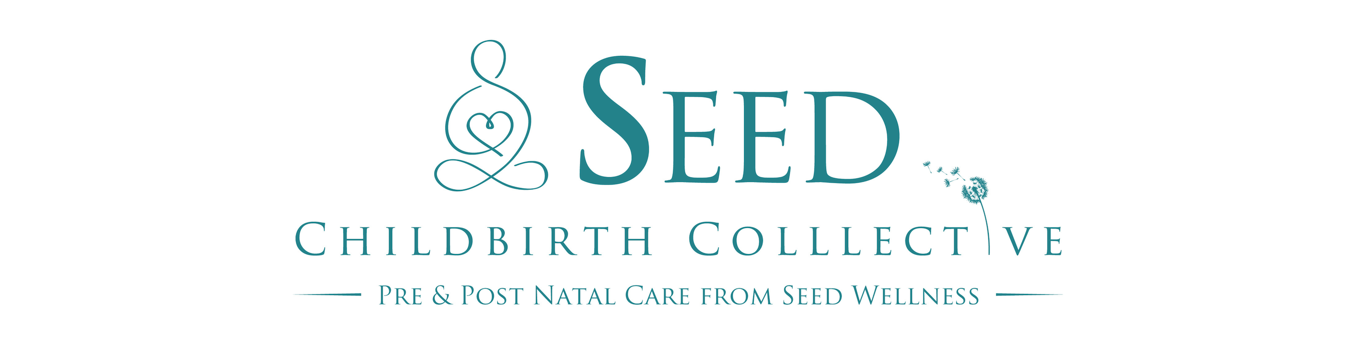 seed childbirth collective