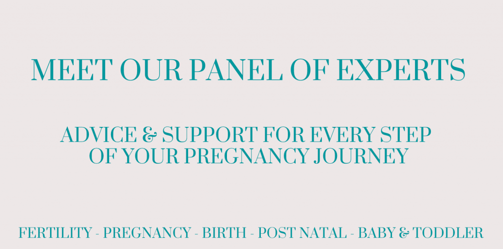 what is the seed childbirth collective, panel of experts, pregnancy care, post natal care,