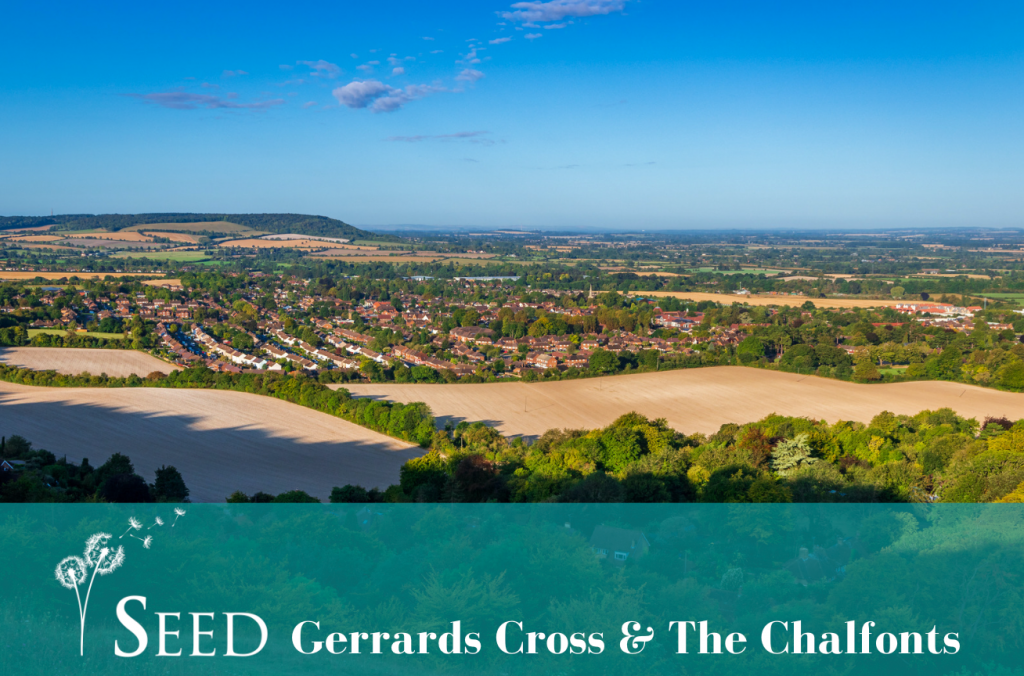Seed Gerrards Cross and the Chalfonts