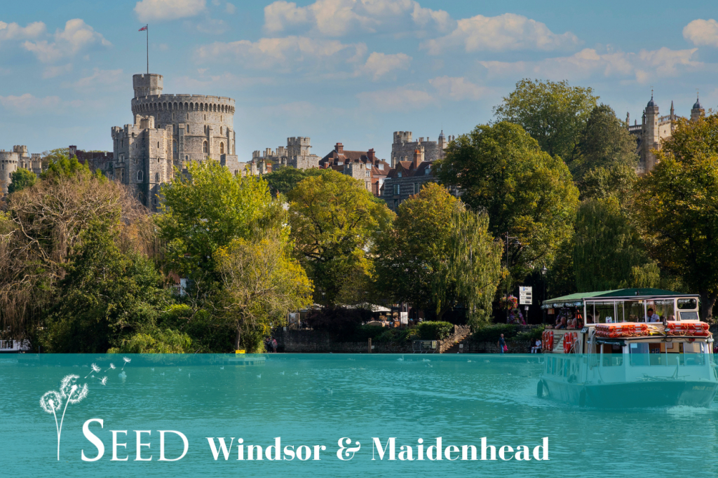 Seed Windsor & Maidenhead