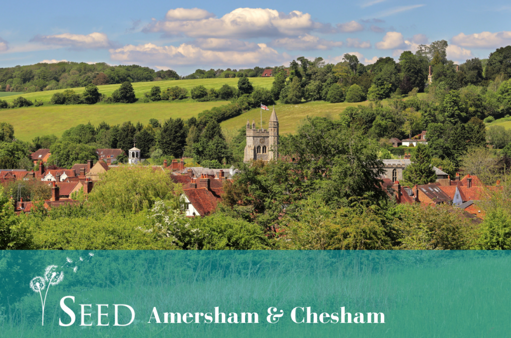 Seed Amersham & Chesham